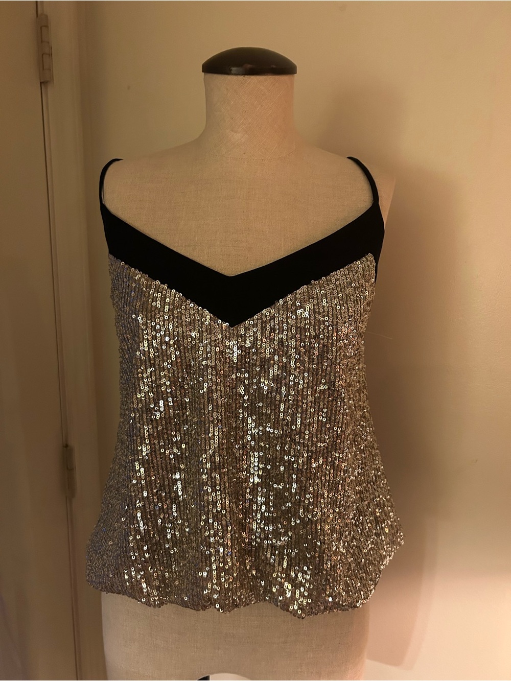 7 For All Mankind Silver Sequin Camisole with Black Trim